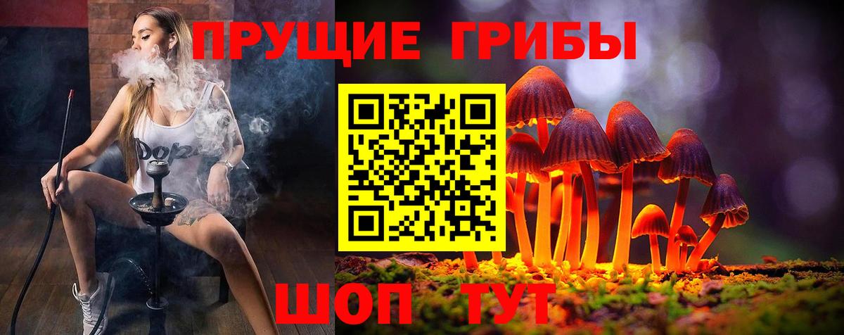 Мурманск  Галлюциногенные грибы Cubensis  Псилоцибиновые грибы Cubensis  Вход с VPN 